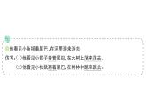 小学语文新部编版一年级下册第八单元20 小壁虎借尾巴作业课件2025春