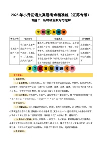 专题7 名句名篇默写与理解-2024-2025学年小升初语文备考真题分类汇编（江苏专版）