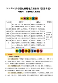 专题12 非连续性文本阅读-2024-2025学年小升初语文备考真题分类汇编（江苏专版）