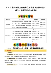 专题13 诗词赏析与小古文阅读-2024-2025学年小升初语文备考真题分类汇编（江苏专版）