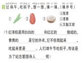 小学语文新部编版一年级下册第四单元9 端午粽（B）作业课件（2025春）