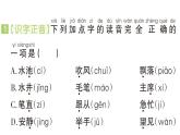小学语文新部编版一年级下册期中易错字音打卡专项作业课件（2025春）