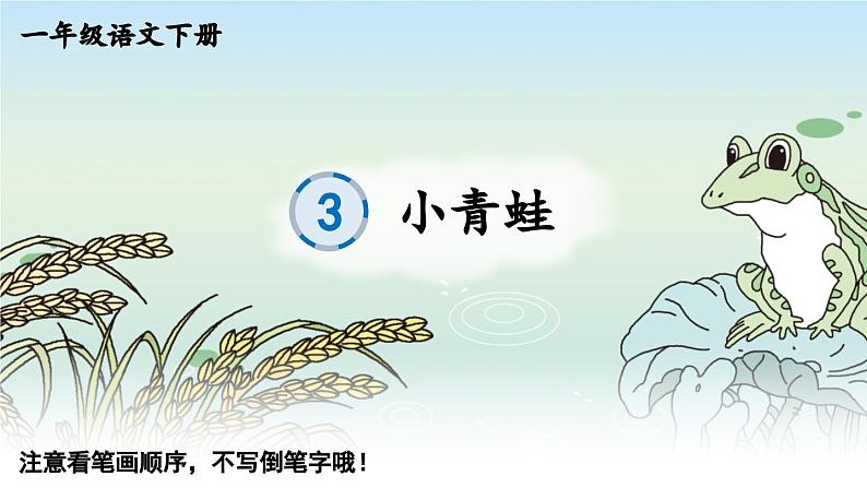 小学语文新部编版一年级下册识字3 小青蛙 笔顺教学课件2025春第1页