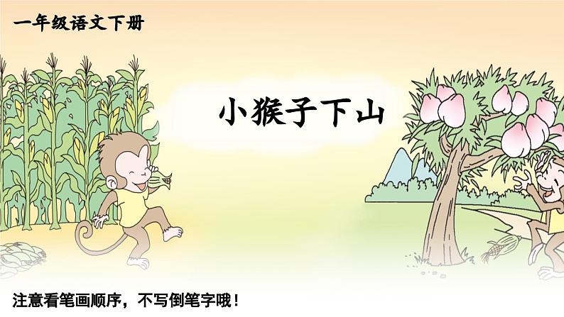 小学语文新部编版一年级下册17 小猴子下山 笔顺教学课件2025春第1页