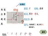 小学语文新部编版一年级下册20 小壁虎借尾巴 笔顺教学课件2025春