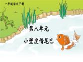 小学语文新部编版一年级下册第八单元 小壁虎借尾巴 看图写话教学课件2025春
