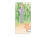 小學(xué)語(yǔ)文新部編版一年級(jí)下冊(cè)第一單元 小貓種魚(yú)看圖寫(xiě)話(huà)教學(xué)課件2025春