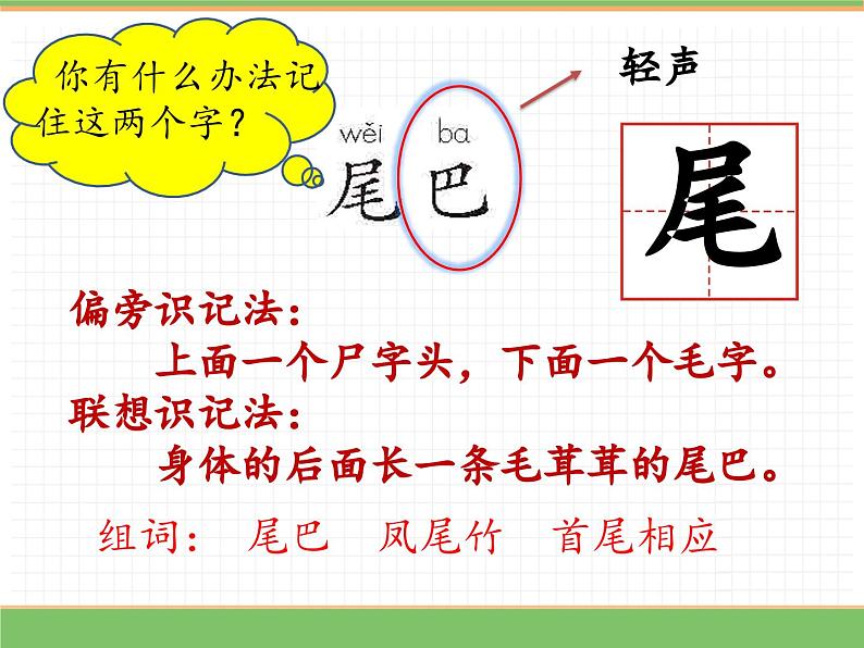 2024版小学语文一年级上册第八单元 8.比尾巴（第一课时）教学课件第4页