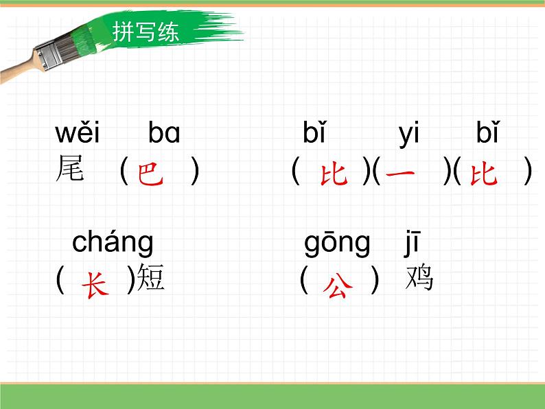 2024版小学语文一年级上册第八单元 8.比尾巴（第二课时）教学课件第3页