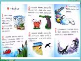 【核心素養(yǎng)】部編版小學語文一年級下冊20 小壁虎借尾巴-課件+教案+同步練習（含教學反思）