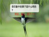 人教版语文三年级（下）2 燕子课件