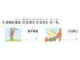 小学语文新部编版一年级下册第五单元5 动物儿歌课堂作业课件2025春