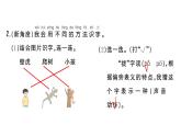 小学语文新部编版一年级下册第八单元20 小壁虎借尾巴课堂作业课件2025春