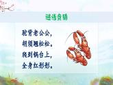 部编版2025三年级语文下册15 小虾 课件