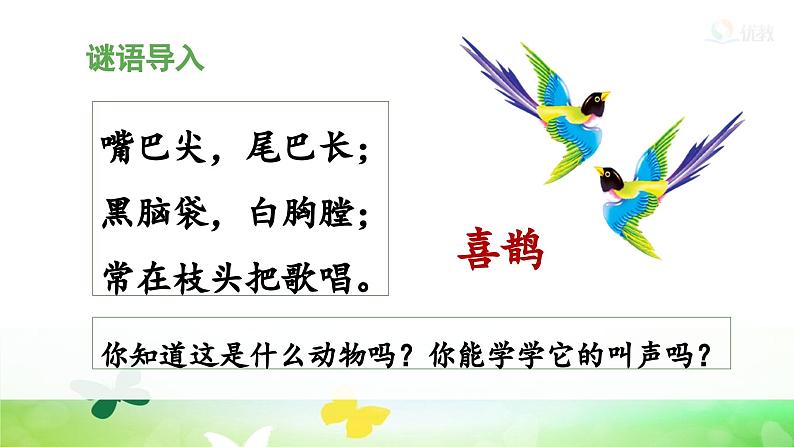 统编版小学语文二年级下册 课文3 9《枫树上的喜鹊》 课件（第一课时）第3页