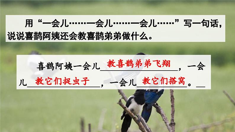 统编版小学语文二年级下册 课文3 9《枫树上的喜鹊》课件（第二课时）第6页