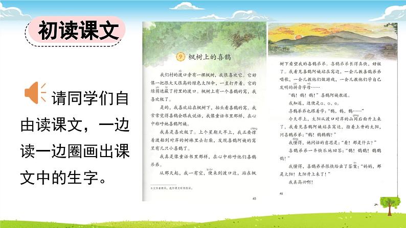 统编版小学语文二年级下册 课文3 9《枫树上的喜鹊》课件（第一课时）第4页