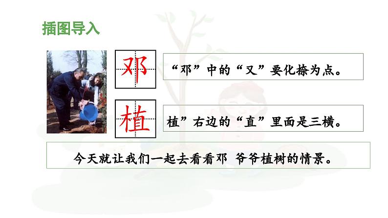 统编版小学语文二年级下册 课文1《邓 爷爷植树》 课件（第一课时）第8页