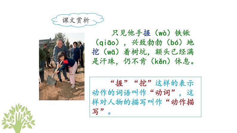 统编版小学语文二年级下册 课文1《邓 爷爷植树》课件（第二课时）第8页