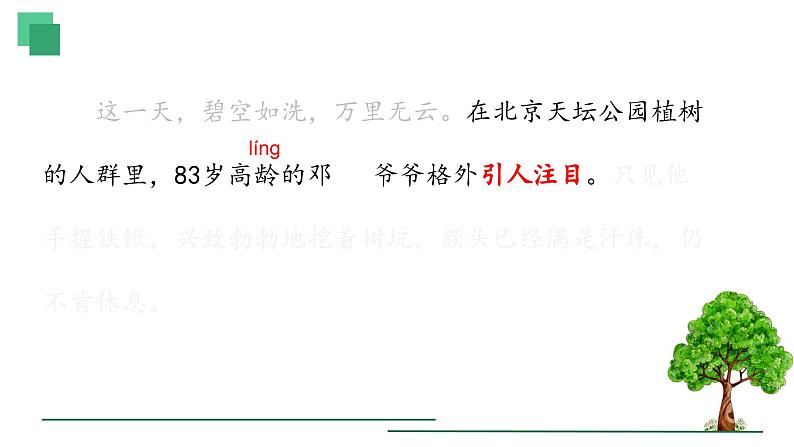 统编版小学语文二年级下册 课文1《邓 爷爷植树》学习任务群教学课件第6页