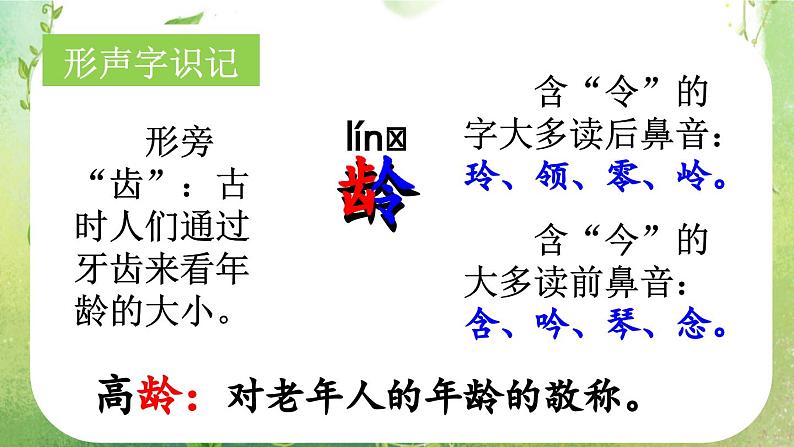 统编版小学语文二年级下册 课文1《邓 爷爷植树》课件（第一课时）第8页