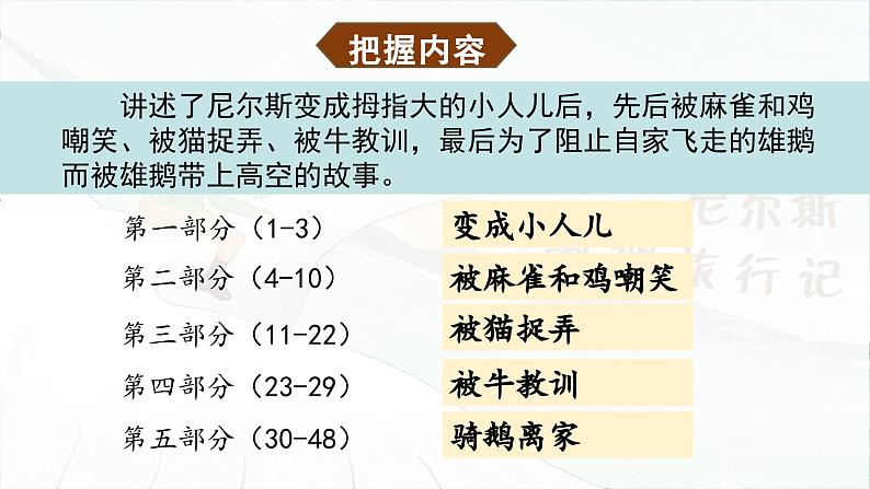 统编版2025年春季六年级语文下册第6课《骑鹅旅行记（节选）》课件第6页