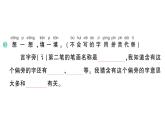 小学语文新部编版一年级下册第一单元3 小青蛙作业课件（2025春季）