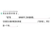 小学语文新部编版一年级下册第五单元5 动物儿歌作业课件（2025春季）