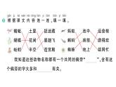 小学语文新部编版一年级下册第五单元5 动物儿歌作业课件（2025春季）