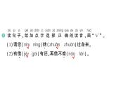 小学语文新部编版一年级下册第八单元20 小壁虎借尾巴作业课件（2025春）