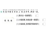小学语文新部编版一年级下册第八单元20 小壁虎借尾巴作业课件（2025春）