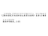 小学语文新部编版一年级下册期末复习闯关6  交际、写话游乐园作业课件（2025春）
