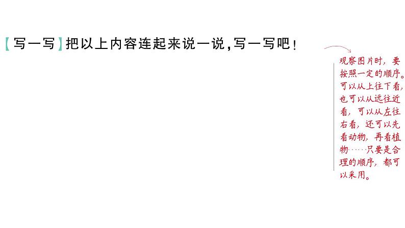 小学语文新部编版一年级下册期末复习第8天 看图写话作业课件（2025春）第4页