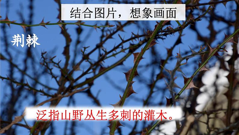 统编版小学语文二年级下册 课文2《雷锋叔叔，你在哪里》课件（第二课时）第7页