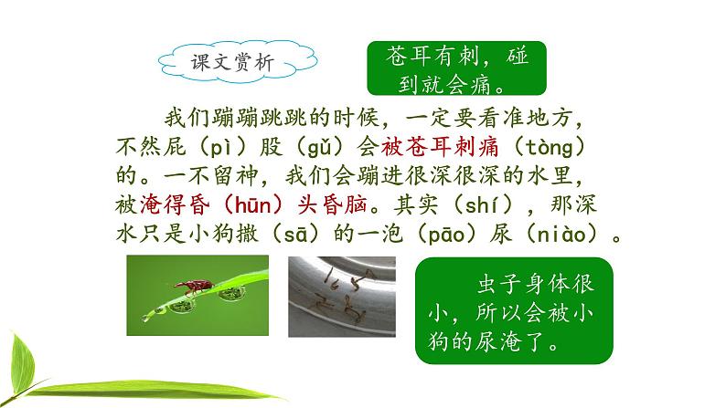 统编版小学语文二年级下册 课文3《我是一只小虫子》课件（第二课时）第8页