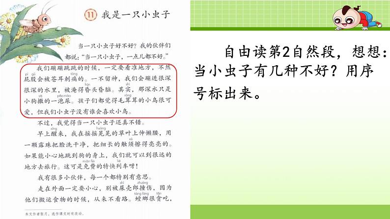 统编版小学语文二年级下册 课文3《我是一只小虫子》学习任务群教学课件第5页