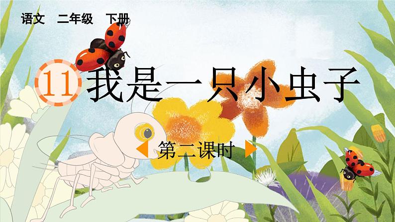 统编版小学语文二年级下册 课文3《我是一只小虫子》课件（第二课时）第1页