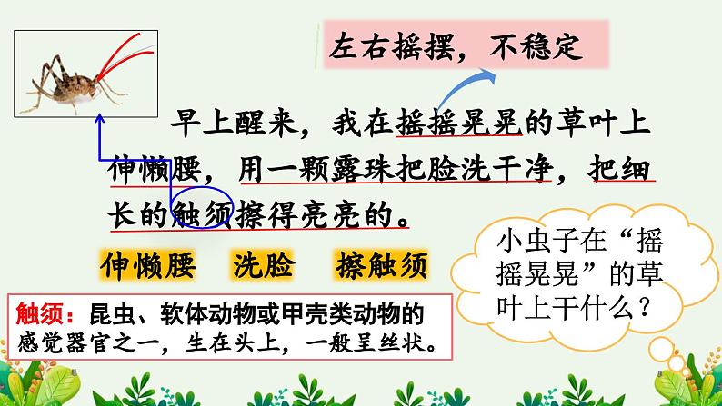 统编版小学语文二年级下册 课文3《我是一只小虫子》课件（第二课时）第6页