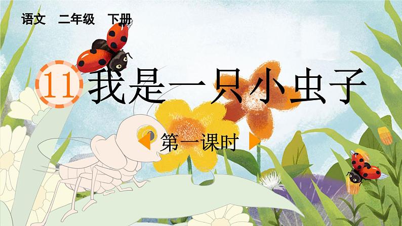 统编版小学语文二年级下册 课文3《我是一只小虫子》课件（第一课时）第1页