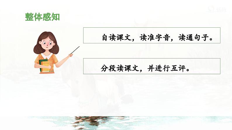 统编版小学语文二年级下册 课文4《小马过河》 课件（第一课时）第7页