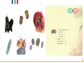 统编版小学语文二年级下册 识字《一起长大的玩具》导读课教学课件