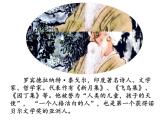 统编版小学语文二年级下册 识字《愿望的实现》导读课教学课件