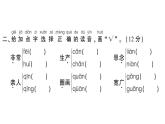 小學(xué)語(yǔ)文新部編版一年級(jí)下冊(cè)第二單元綜合訓(xùn)練課件（2025春）