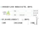 小学语文新部编版一年级下册第八单元阅读素养提升八作业课件（2025春）