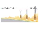 小学语文新部编版一年级下册第八单元阅读素养提升八作业课件（2025春）