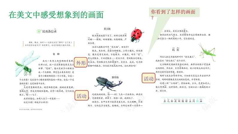 部编版小学语文三下第一单元大单元《2.在想象中感受可爱的生灵（二）》教学设计课件第5页