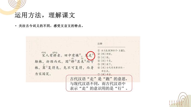 部编版小学语文三下第二单元大单元《任务二：多远思考《守株待兔》》教学设计课件第8页