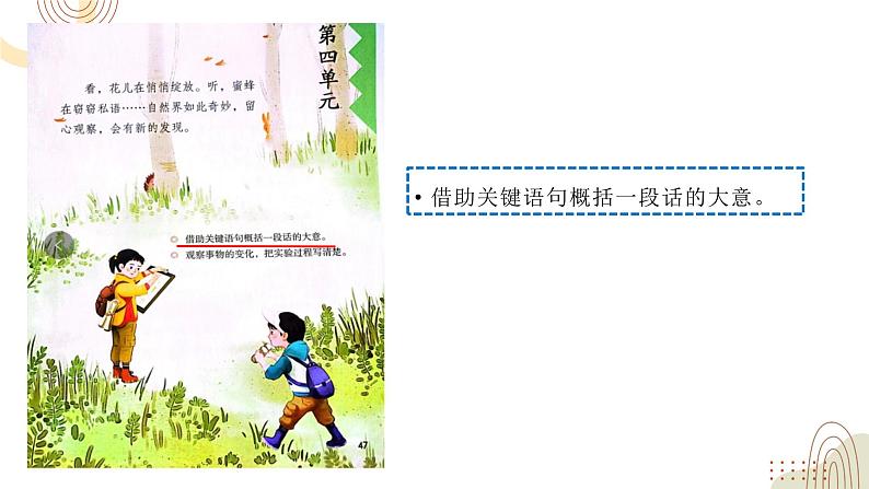 部编版小学语文三下第四单元大单元【任务3：《小虾》】教学设计课件第2页