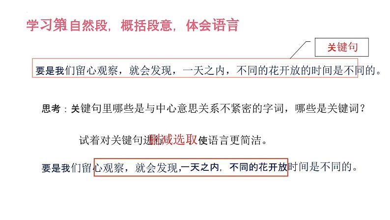 部编版小学语文三下第四单元大单元【任务2：《花钟》】教学设计课第7页