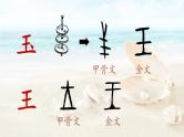 统编版小学语文二年级下册 识字 3《“贝”的故事》学习任务群教学课件